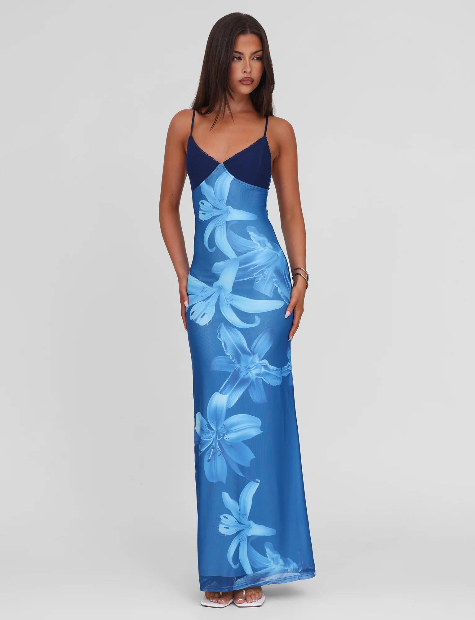 Alaina - Blue Floral Mesh Maxi Dress