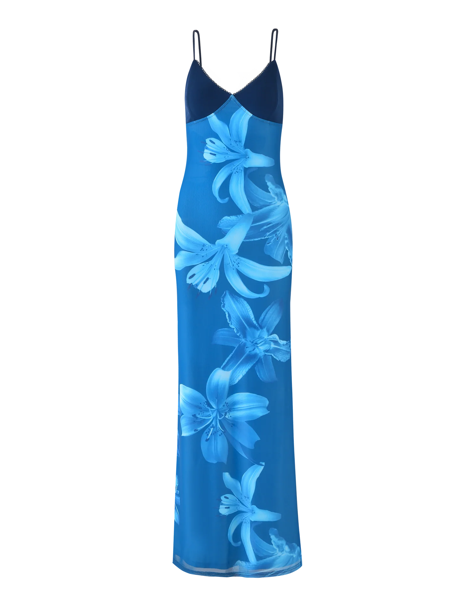 Alaina - Blue Floral Mesh Maxi Dress