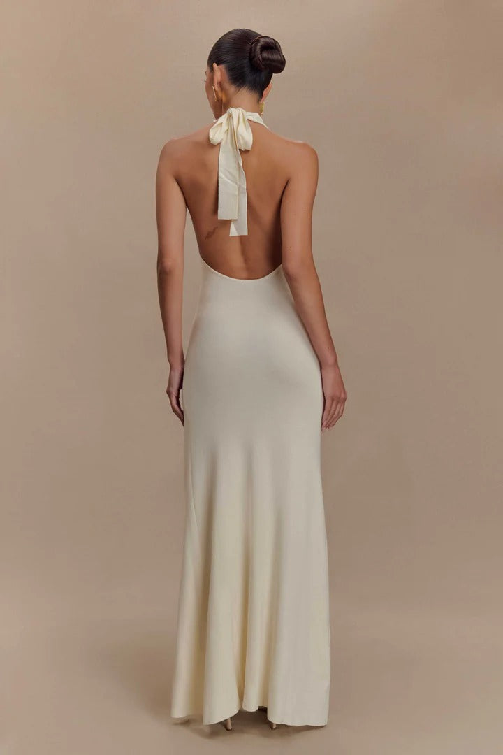 Valentina - Rose Embroidered Halter Neck Maxi Dress